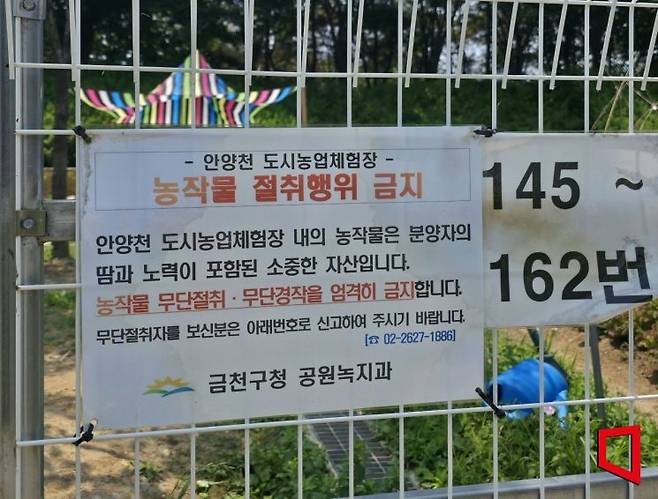 당귀를 도난당한 김단비씨(40)의 텃밭 바로 앞에 붙어있는 경고문. 최영찬 기자