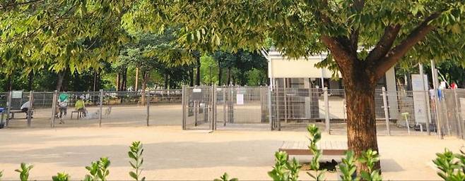 지난달 26일 찾은 서울 마포구의 한 반려견 놀이터. 무더운 날씨에도 여러 주민들이 반려견과 산책하고 있었다. 변선진 기자