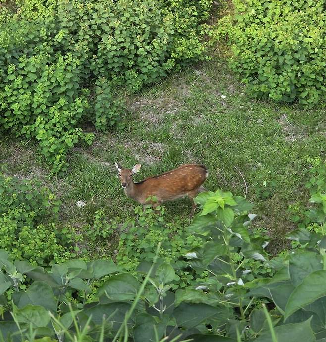 3fb8c32fffd711ab6fb8d38a4585766d66b866fa28702f939f6dbf918061688ed08a208dc37064a11d7e8d663036