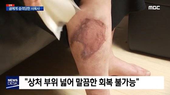 맹수중 고통이 가장 심한 동물