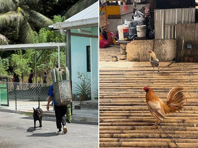 안나 라이즈 비다유 롱하우스 / 사진=홍지연 여행+ 기자