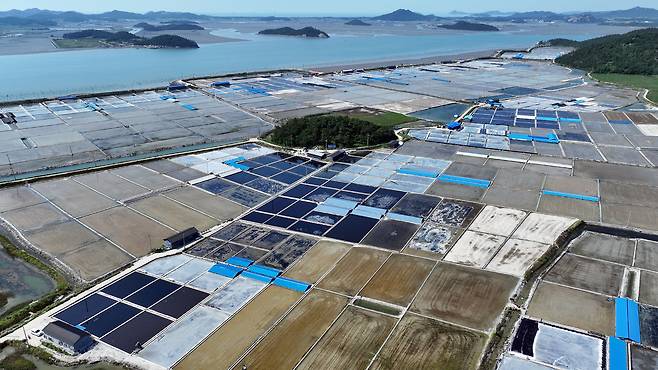 드론으로 바라본 도초도 염전의 모습이다. 바다와 맞닿은 염전은 마치 평야 같은 모습을 하고 있었다.