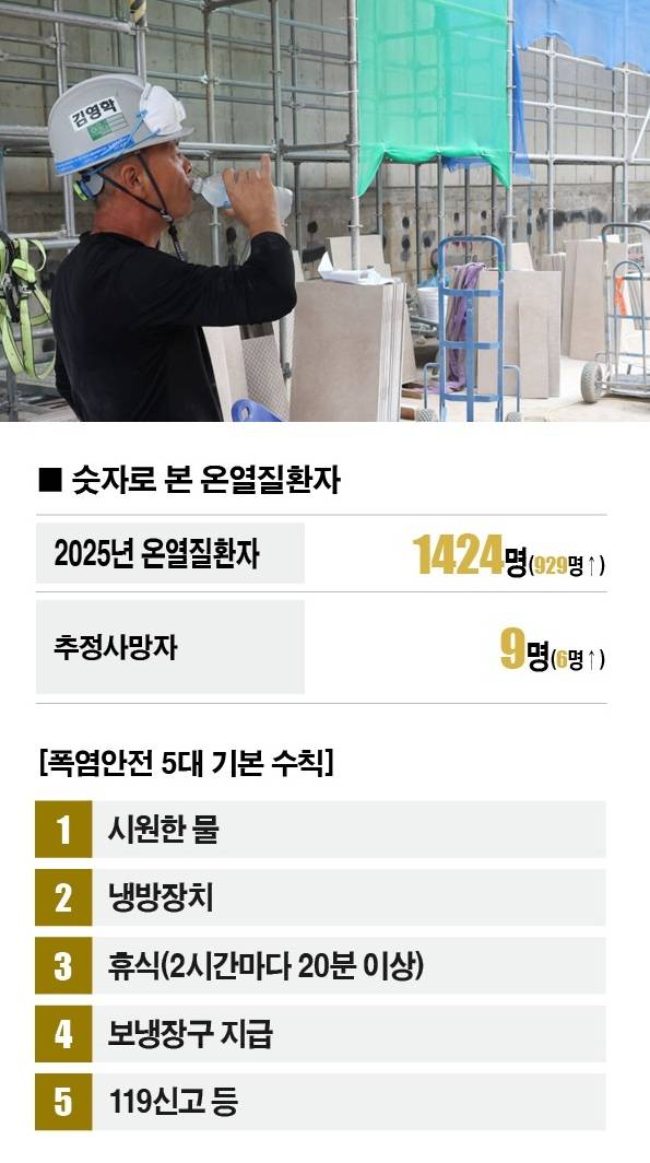 [사진 | 뉴시스, 참고 | 2025년 5월 20일~7월 10일, 괄호 안은 전년 동기 대비]