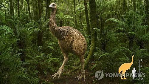 자이언트 모아 [콜로설 바이오사이언스 제공. AP=연합뉴스. 재판매 및 DB 금지]