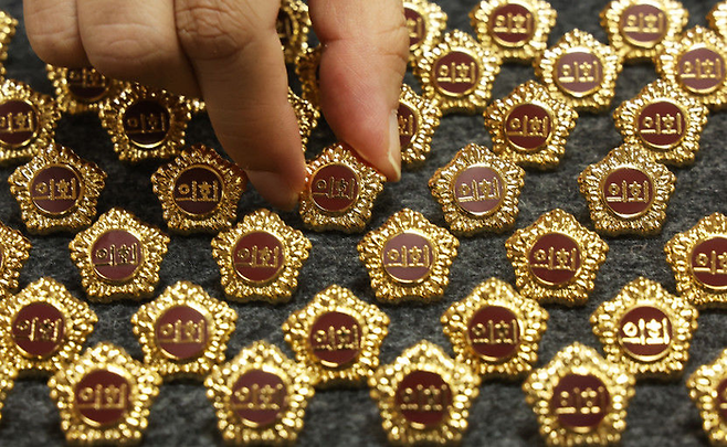 의원 배지 이미지. 영남일보DB