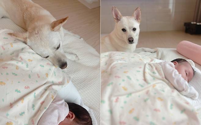 동생 곁을 지키는 산타(인스타그램 san.____.ta 제공) ⓒ 뉴스1