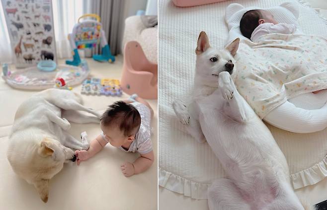 동생 곁을 지키는 산타(인스타그램 san.____.ta 제공) ⓒ 뉴스1