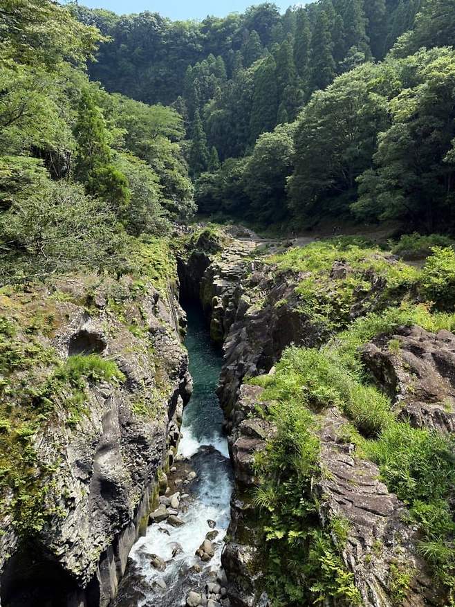 789ef47eb7f01ef023ef8fe3409c701bafd51a373feee20d3816a847228419bd12ff1eb5d350101245b9f50f82ec79e0d82f387110