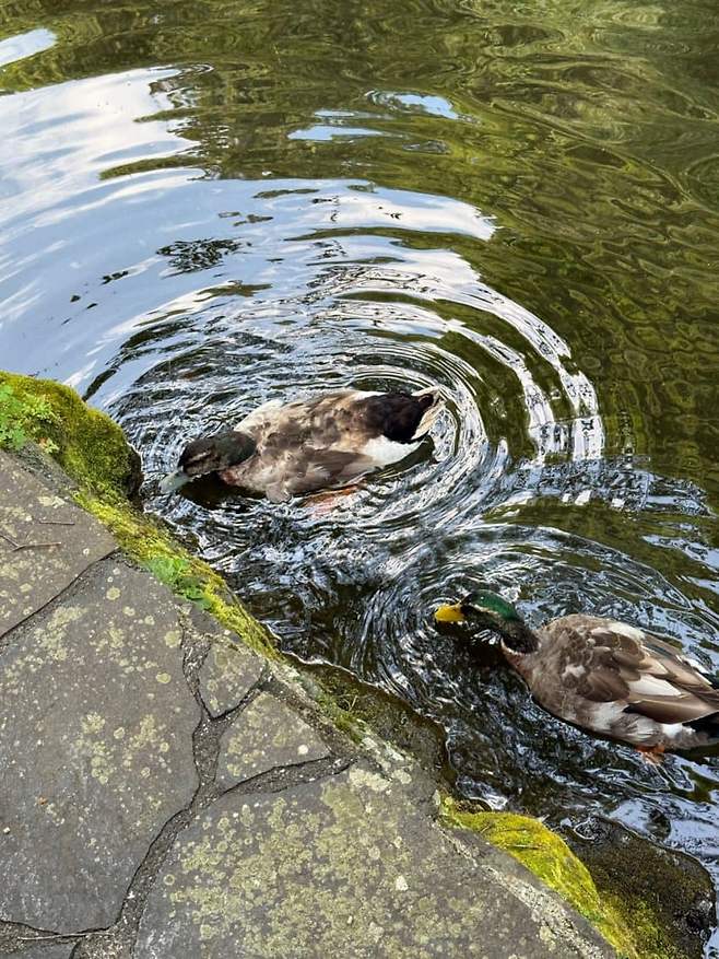 0cec8674bcf668ff23eb86e3339c701e4cd7c8c4cc28eb634ce94459ef4e3dd0171db0939ada372d04f281134c1d9b272a387669