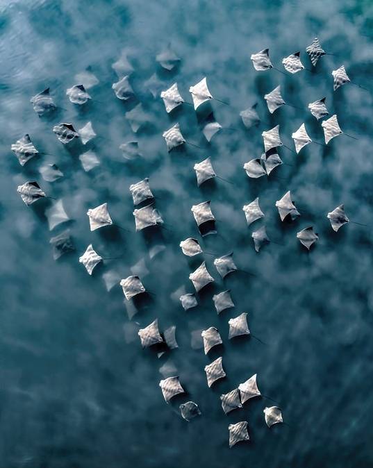 '올해의 국제 항공 사진작가 2025' 수상작. 사진=Barbara Brown/International Landscape Photographer of the Year