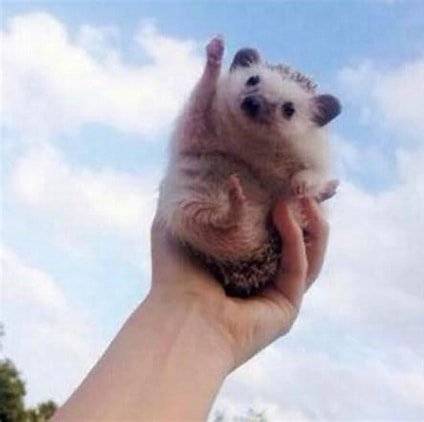 OIP.jpg 추정가치 1억원의 일본 도야마현의 주택이 0엔..!