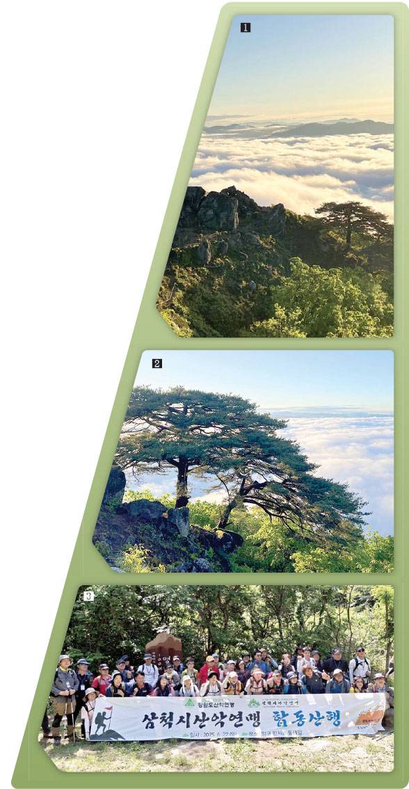 1. 해 뜨기 전 붉은 햇살이 바위를 비추는 봉화산 정상의 풍경 2. 봉화산 정상 부근에 우뚝 선 소나무 한 그루와 그 아래로 펼쳐진 운해 3. 최근 강원도 내 시·군 산악연맹 소속 회원 300여 명이 양구 봉화산 생태탐방로를 등반하며 대회의 시작을 알리는 등, 봉화산을 찾는 발길이 꾸준히 이어지고 있다.