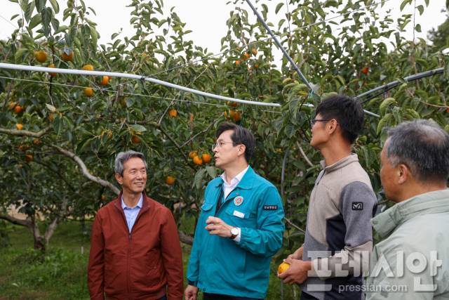 ▲우승희 군수가 2023년 대한민국 대표 과일 선발대회에서 단감 '감풍'으로 최우수상을 받은 농가를 방문해 설명을 듣고 있다. ⓒ영암군