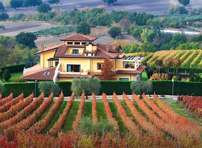 마스트로베라르디노 와이너리 전경. 홈페이지