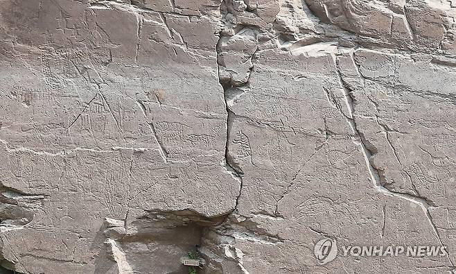 선명하게 보이는 반구대 암각화 속 동물들 울산 '반구천의 암각화' 중 '울주 대곡리 반구대 암각화'의 지난 3일 모습. [연합뉴스 자료사진]