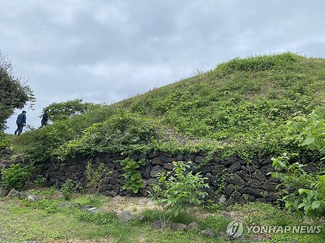 제주시 평대 마을 안의 해안사구 언덕 [촬영 고성식]