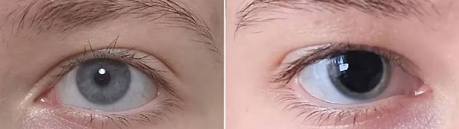 사진출처=레딧, 데일리메일