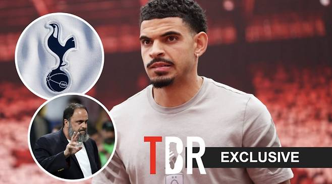 TBR풋볼 기사캡쳐