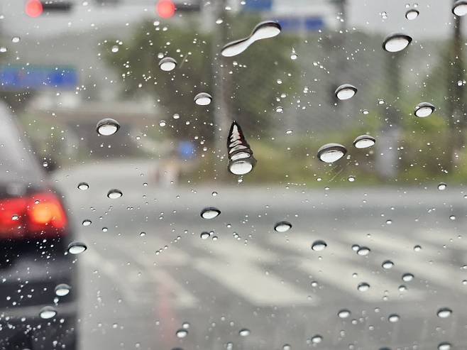 비 소식에 폭염특보 모두 해제…150mm 물벼락[오늘날씨]=월요일인 오늘(14일) 날씨는 전국 대부분 지역에 비가 내리겠다. 강원 영동과 남부지방, 제주도를 중심으로 돌풍과 천둥·번개를 동반한 강한 비가 내리는 곳이 있겠다. 오늘날씨, 내일날씨, 주간날씨 예보 ⓒbnt뉴스