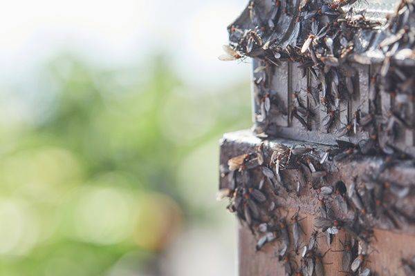 ⓒ게티이미지뱅크