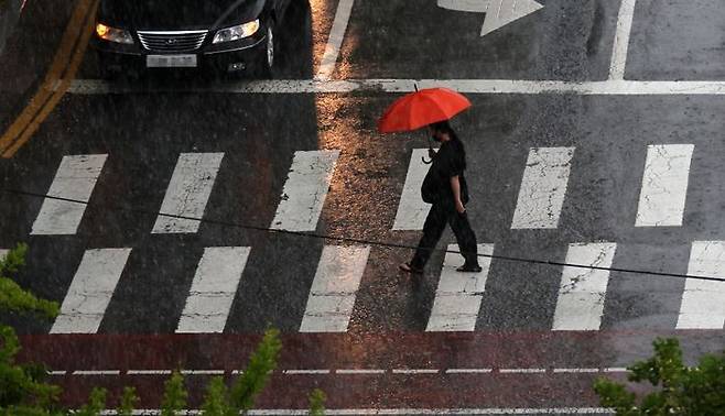 14일 오후 대전시 서구 둔산동 보라매공원을 지나는 시민들이 비를 피하기 위해 우산을 쓰고 있다.