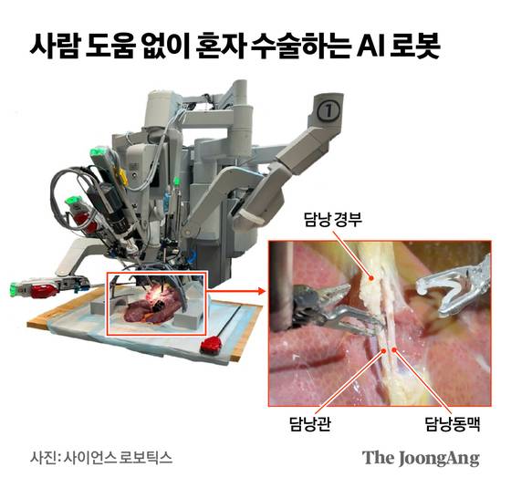 미국 존스홉킨스대의 인공지능(AI) SRT-H가 의료 로봇을 움직여 돼지 담낭 수술을 하는 모습. 담낭 경부를 잡아당겨 수술 공간을 확보하고, 담낭관과 담낭동맥을 클립으로 묶은 뒤 잘라내는 모든 과정을 사람의 도움 없이 스스로 해냈다. 사진 '사이언스 로보틱스'