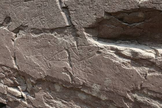 반구대 암각화 전면부 우측 하단 모습. 송봉근 기자