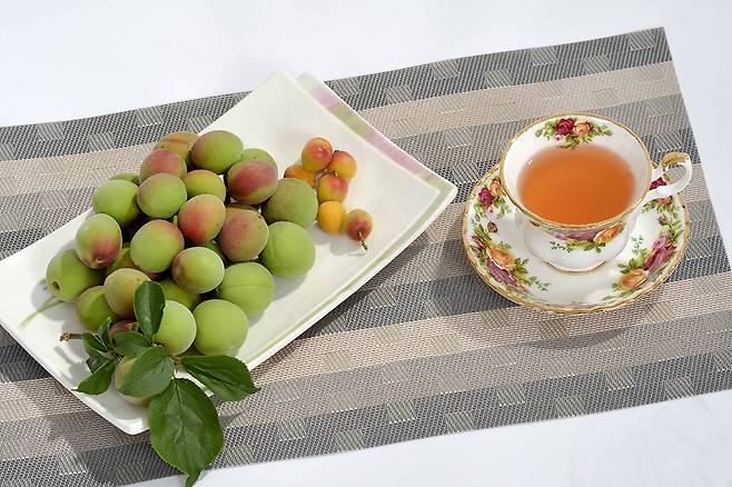 광양매실과 매실차