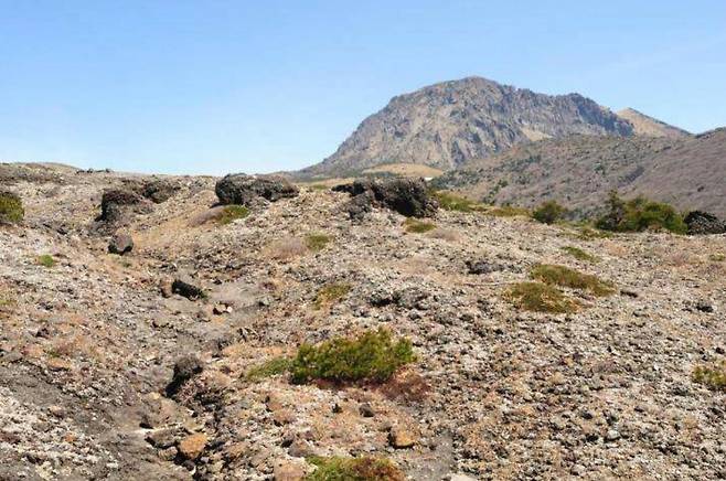 한라산 모세왓 유문암질 각력암 지대. 국가유산청 제공