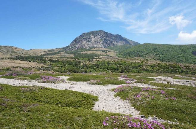 한라산 모세왓 유문암질 각력암 지대. 국가유산청 제공