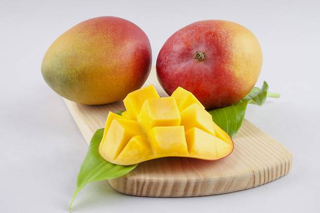 당뇨 환자는 혈당을 관리하기 위해 당분이 많은 과일을 피하는 것이 좋지만 적당량을 섭취하면 건강에 좋다. [사진=게티이미지뱅크]망고. [사진=게티이미지뱅크]