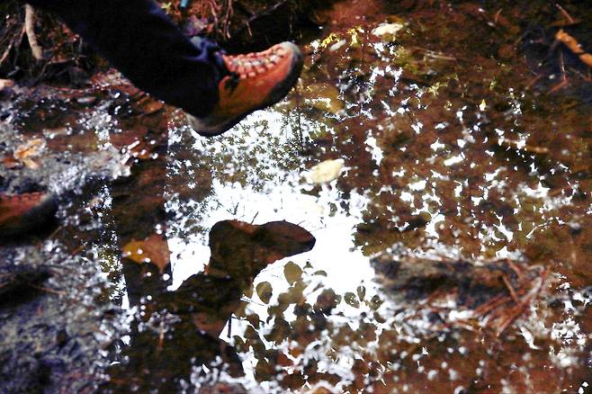 은행원 30년, 걷기 30년이다. 걸으면 안되는 족저근막염 환자인데 걸어서 해결한다. 물웅덩이를 만나도 그냥 들어간다. 모든 것이 거꾸로다. 2023. 10월 북한산 둘레길에서 /사진가 박찬원