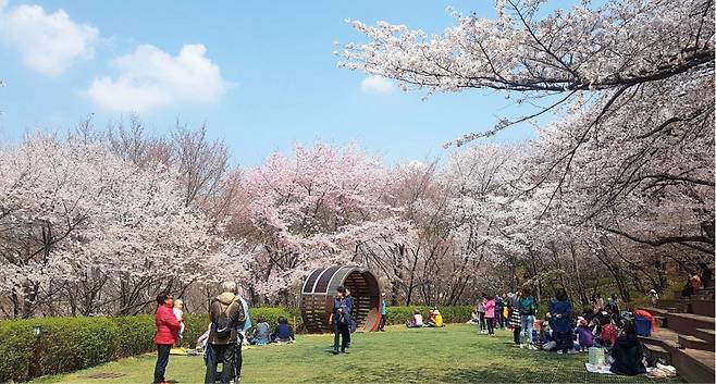 서대문구가 올해 9월부터 매주 토요일 서울시 공공예식장으로 무료 개방하는 ‘서대문 안산 잔디마당’. 서대문구 제공