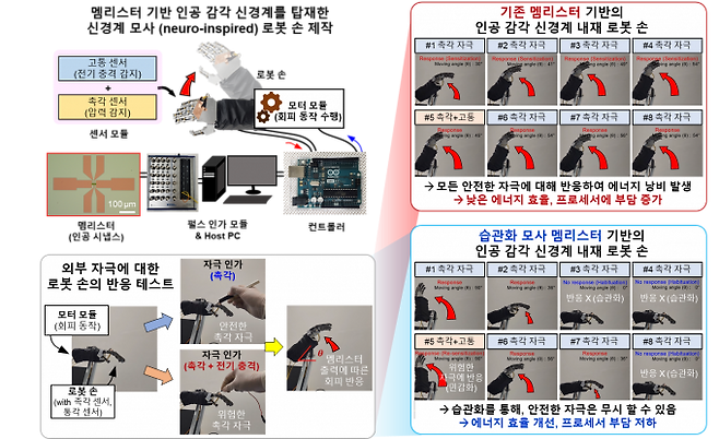 연구팀이 개발한 멤리스터 소자 기반의 인공 감각 신경계를 탑재한 로봇 손 실험 결과. 중요하지 않은 자극은 무시해 에너지 효율을 높이고 프로세서 부담을 줄일 수 있다. KAIST 제공