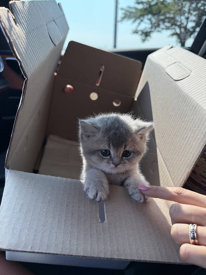 우리집 새로운 가족