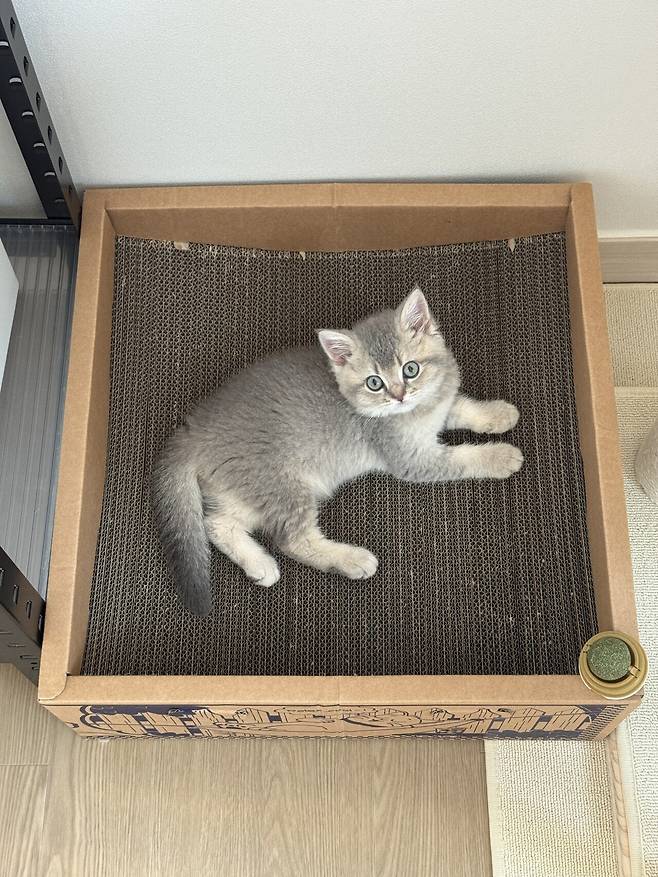 우리집 새로운 가족