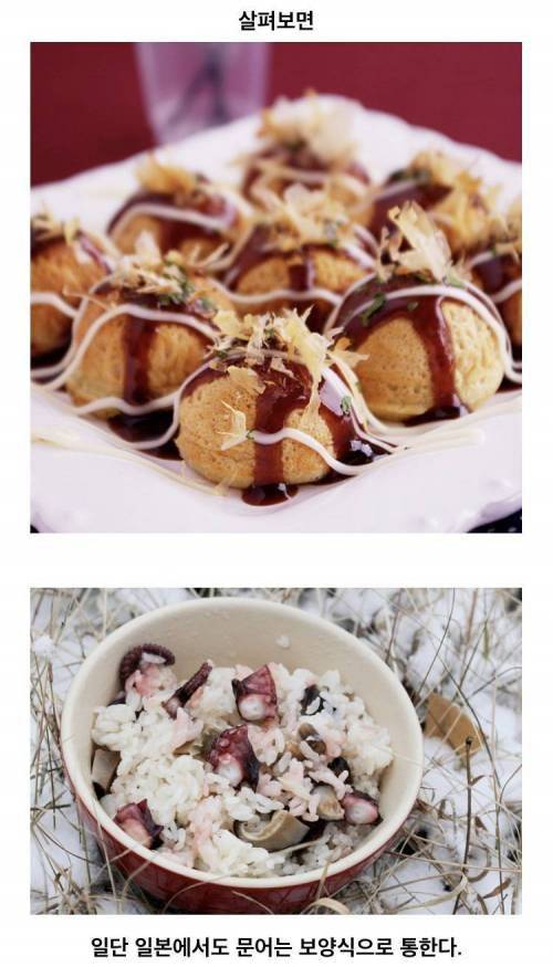 동양권과 서양권의 취급이 극명하게 나뉘는 생물.jpg 동양권과 서양권의 취급이 극명하게 나뉘는 생물.jpg