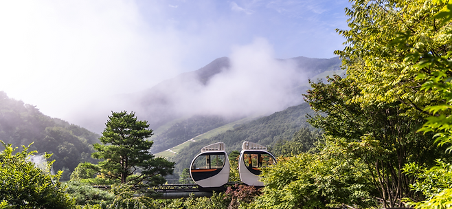 화담숲 '쿨썸머 숲캉스 패키지'. 곤지암리조트 제공
