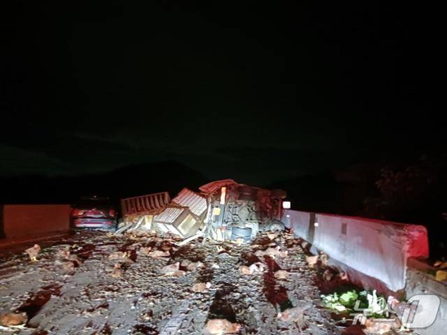 15일 0시10분쯤 경북 문경시 중부내륙고속도로 창원방향 불정터널 인근에서 화물차가 전복돼 닭이 쏟아져 한때 극심한 차량 정체를 보였다. 경북소방본부 제공