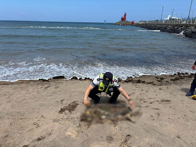 제주해양경찰서 제공