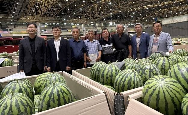 ▲ 15일 서울 서부청과시장에서 양구두레산수박 초매식이 열렸다.