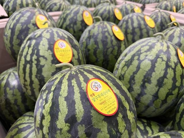 ▲ 양구두레산수박