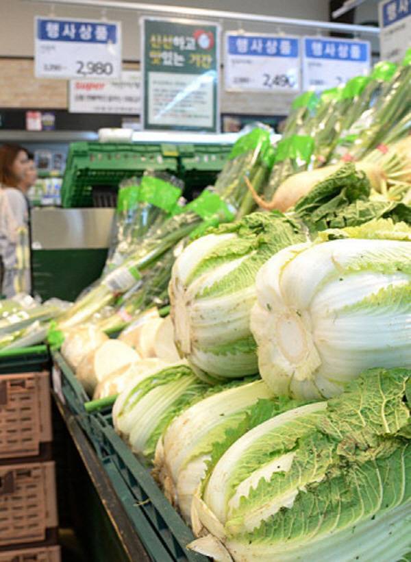 매장에 진열된 배추.