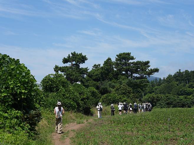 Participants of Jeju National University's 2025 learncation program walk along the Jeju Olle Trail, a long-distance footpath on Jeju Island. [JEJU NATIONAL UNIVERSITY]