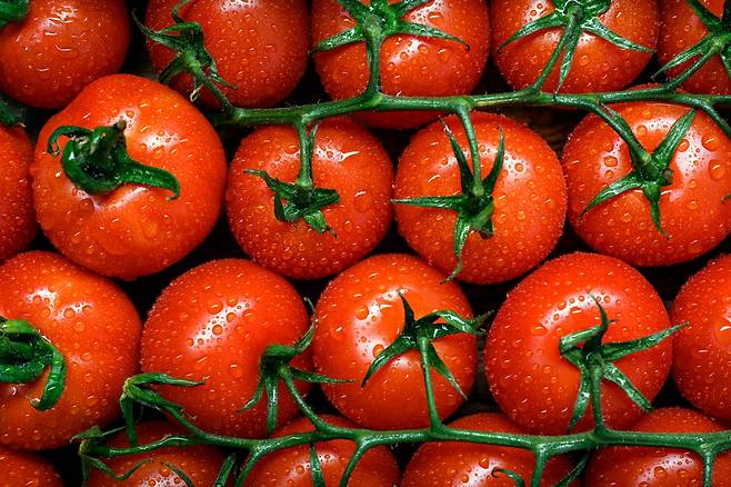 기사 이해를 돕기 위한 사진으로 기사 내용과 직접적인 연관은 없습니다. 게티이미지뱅크