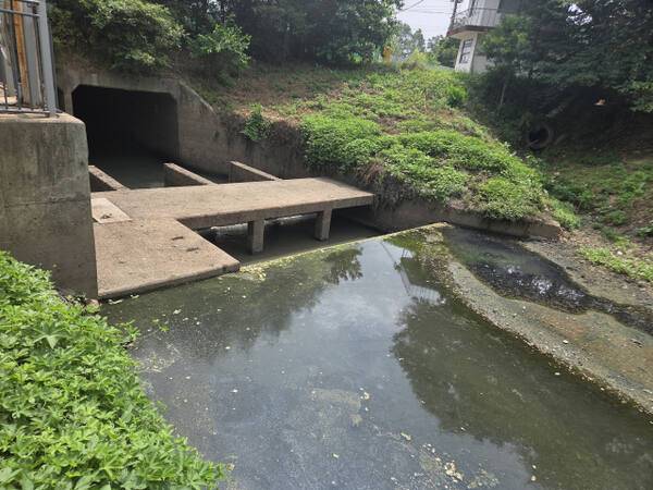 안산시 상록구 본오동 경기지방정원 사업지 인근 구거에 설치된 오폐수 차집장치. 유입수가 없는 구거의 물이 고인 채 방치되면서 수질이 악화되고 있다는 지적이다. 구재원기자