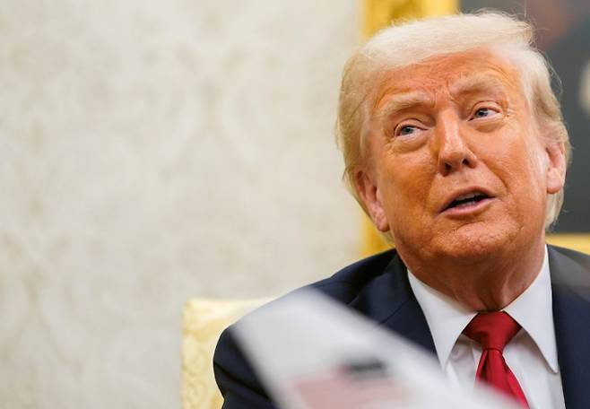 도널드 트럼프 미국 대통령 관세 위협에도 뉴욕증시가 상승 마감했다. 사진은 마르크 뤼테 북대서양조약기구(NATO) 사무총장과 만난 트럼프 대통령./사진=로이터