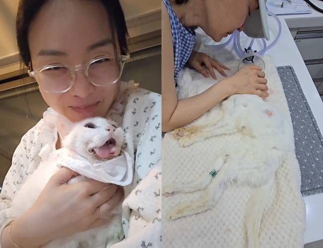 사진=김정난 소셜미디어