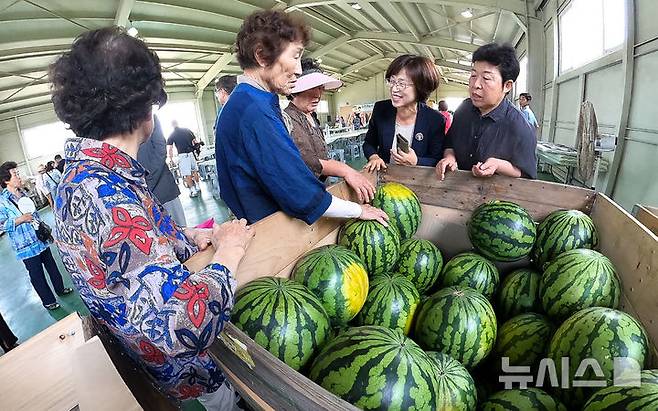 [제주=뉴시스] 우장호 기자 = 올해 폭염으로 수박값이 크게 오른 15일 오전 제주시 애월읍 신엄리 농산물 직판장에서 수박 직거래 장터가 열려 방문객들이 잘 익은 수박을 둘러보고 있다.한국농수산식품유통공사(aT) 집계에 따르면 전날 수박 한 통 평균 소매 가격은 전통시장에서 3만327원으로 3만원을 돌파했고, 전국 평균 수박 가격도 2만9816원으로 3만원을 눈앞에 뒀다. 2025.07.15. woo1223@newsis.com