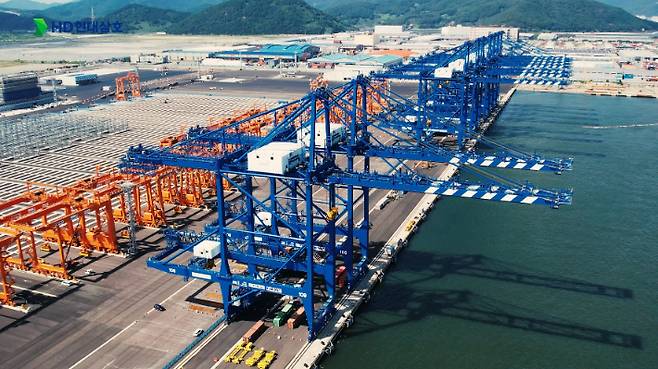 부산 신항에 설치된 더블 트롤리 안벽 크레인(DTQC, Double Trolley Quay Crane). HD현대삼호 제공